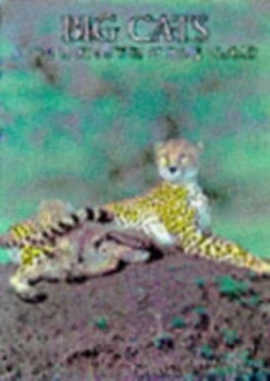 Image of Big Cats by Andrew Cleave Book