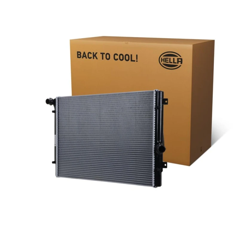 Image of HELLA Engine radiator HELLA 8MK 366 302-381