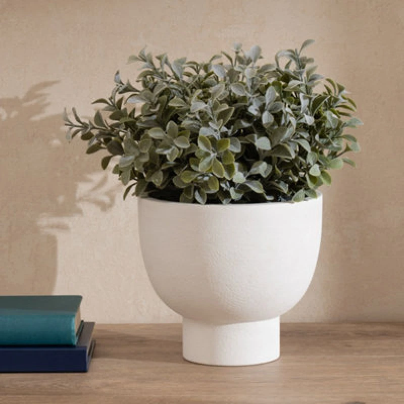 Image of Scottish Everlastings Ltd. Scottish Everlastings Artificial 37Cm Foliage In Footed Pot