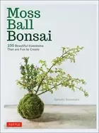 Image of moss ball bonsai 100 beautiful kokedama that are fun to create