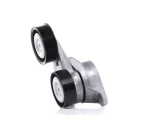 Image of RIDEX Tensioner Pulley FORD 310T0255 1352451,1367254,4M5Q6A228ED Tensioner Pulley, v-ribbed belt