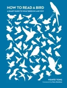 Image of How to Read a Bird : A Smart Guide to What Birds Do and Why