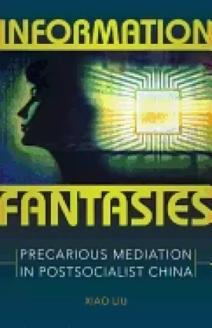 Image of information fantasies precarious mediation in postsocialist china