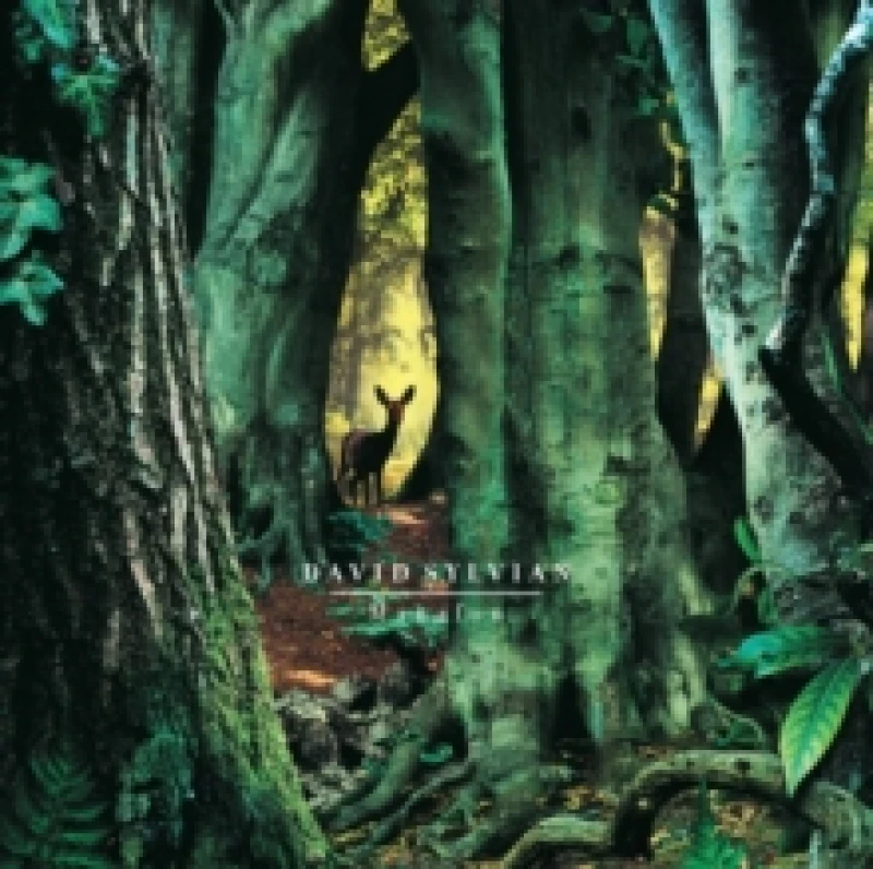 Image of Manafon Vinyl