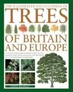 Image of illustrated encyclopedia of trees of britain and europe the ultimate refere