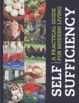Image of Self-Sufficiency by Liz Wright Hardback
