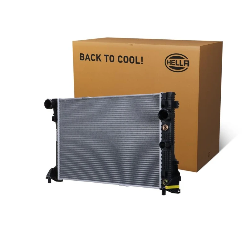 Image of HELLA Engine radiator HELLA 8MK 366 300-341