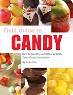 Image of field guide to candy how to identify and make virtually every candy imagina