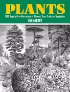 Image of plants 2 400 royalty free illustrations of flowers trees fruits and vegeta
