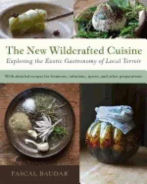 Image of new wildcrafted cuisine exploring the exotic gastronomy of local terroir