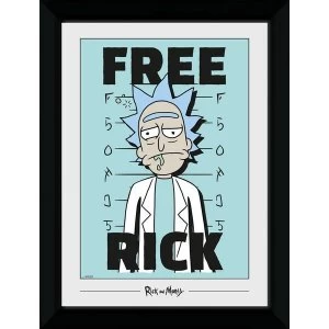Image of Rick and Morty Free Rick Collector Print