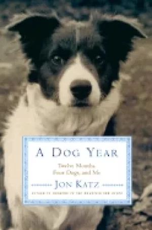 Image of dog year twelve months four dogs and me