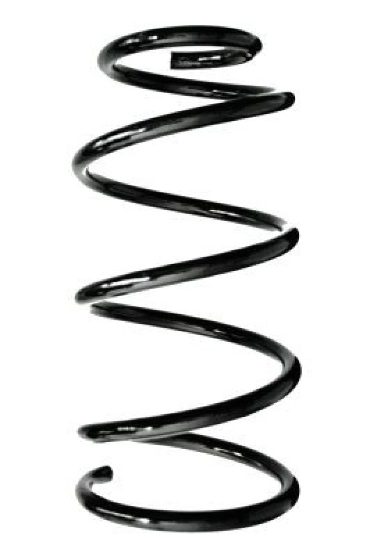 Image of Coil spring SPIDAN 88393