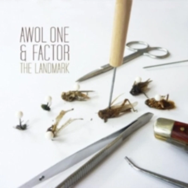 Image of The Landmark CD / Album