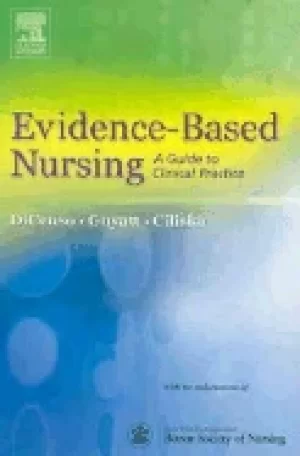 Image of evidence based nursing a guide to clinical practice
