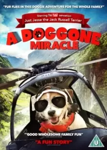 Image of A Doggone Miracle