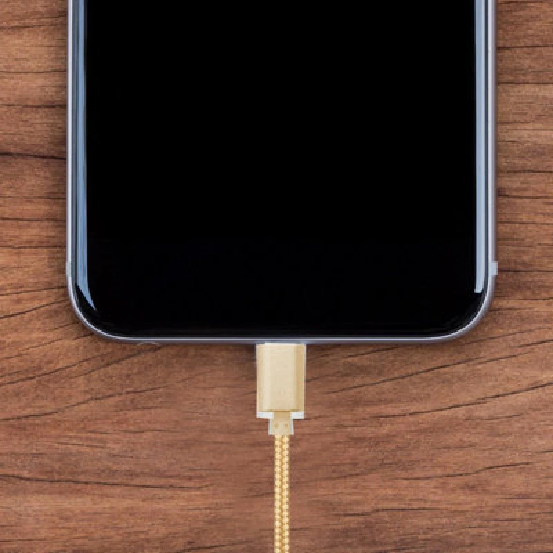 Image of FX Braided Micro USB 'Data Cable' Gold Gold unisex