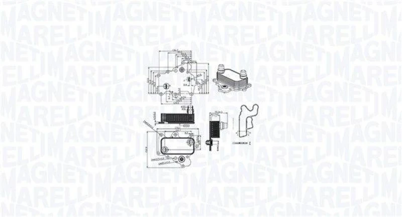 Image of MAGNETI MARELLI Engine oil cooler MAGNETI MARELLI 350300000400