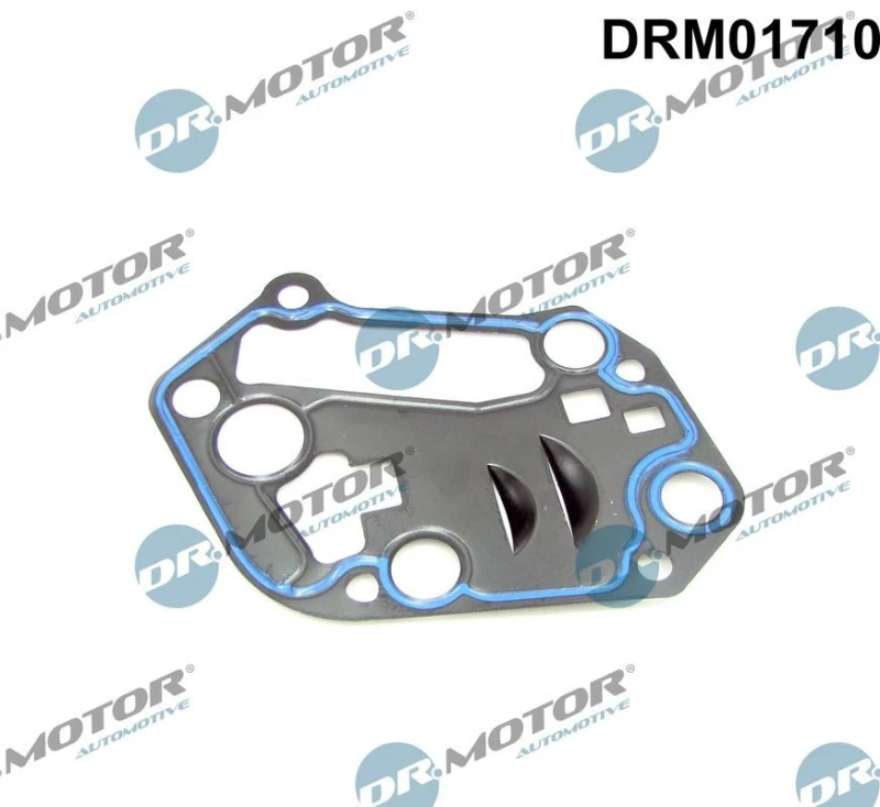 Image of DR.MOTOR AUTOMOTIVE Oil filter housing gasket DR.MOTOR AUTOMOTIVE DRM01710