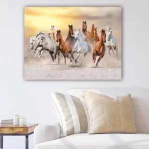 Image of 469187405_70100 Multicolor Decorative Canvas Painting