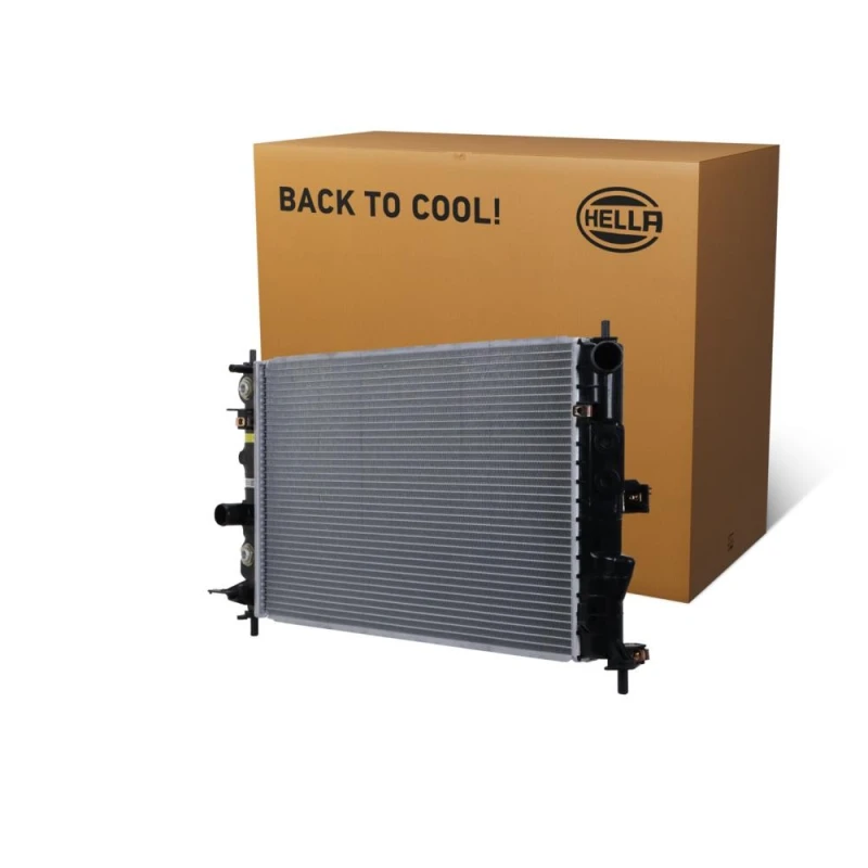 Image of HELLA Engine radiator HELLA 8MK 366 302-721