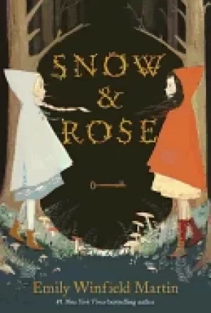 Image of snow and rose