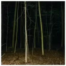 Image of Fixed Rope II (Limited Edition)