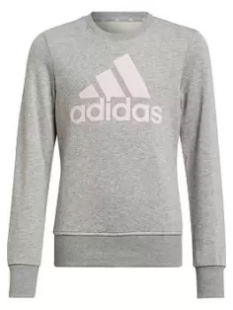 Image of adidas Essentials Kids Big Logo Crew Sweat Top - Light Grey, Light Grey, Size 11-12 Years