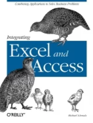 Image of integrating excel and access combining applications to solve business probl