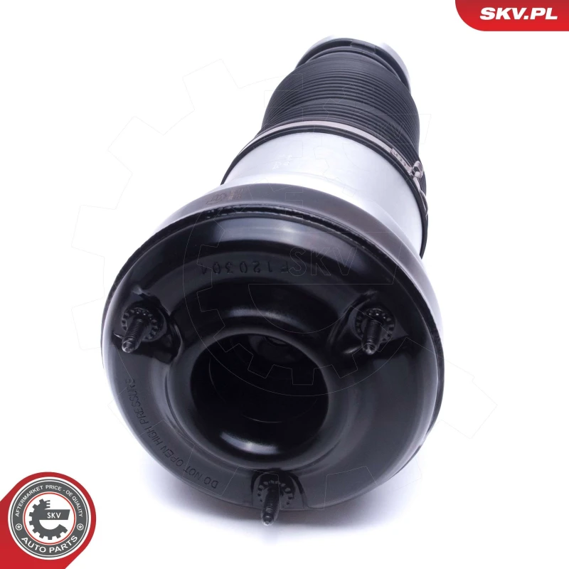 Image of ESEN SKV Air suspension strut ESEN SKV 58SKV065