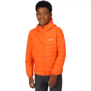 Image of Regatta Boys Junior Hillpack Water Repellent Padded Coat 13 Years- Chest 32', (82cm)