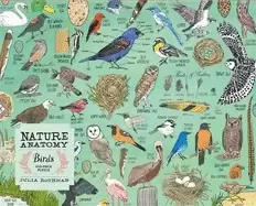 Image of nature anatomy birds puzzle 500 pieces