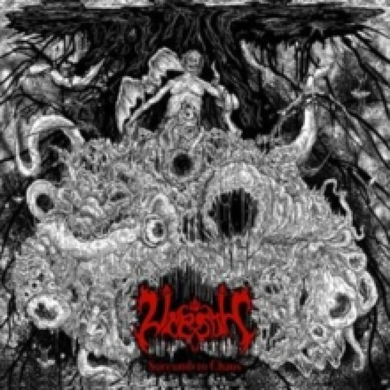Image of Succumb to chaos Vinyl