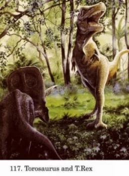 Image of Dinosaur by Jan Sovak Book