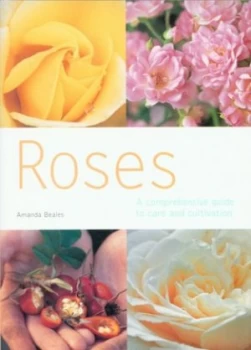 Image of Roses by Amanda Beales Book