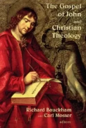 Image of gospel of john and christian theology