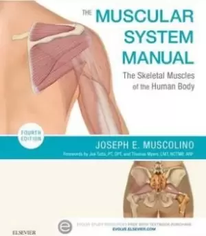 Image of The Muscular System Manual by Joseph E. Muscolino