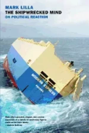 Image of shipwrecked mind on political reaction