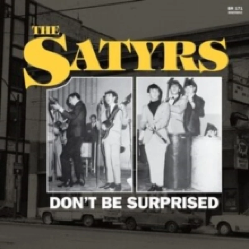 Image of Don't be surprised Vinyl