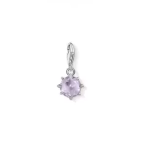 image of Thomas Sabo Amethyst June Birthstone Charm 1788-169-13