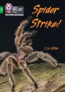 Image of Spider Strike! : Band 05/Green