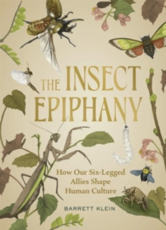 Image of The Insect Epiphany : How Our Six-Legged Allies Shape Human Culture Hardback