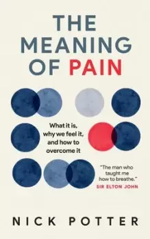 Image of The meaning of pain by Nick Potter