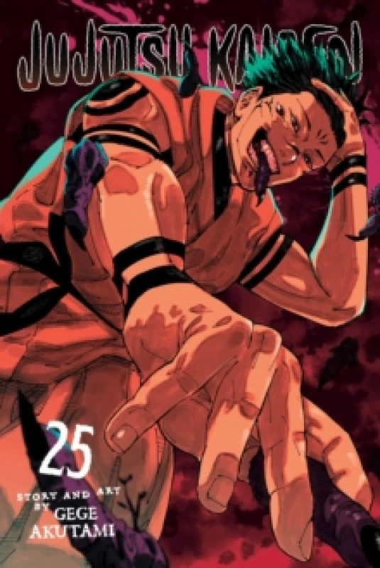 Image of Jujutsu Kaisen, Vol. 25 Paperback / softback