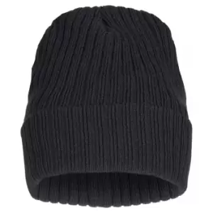 Image of Clique Unisex Adult Milas Beanie (One Size) (Black)
