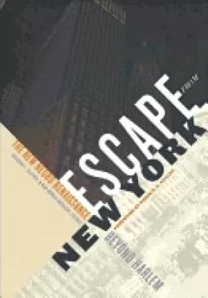 Image of escape from new york the new negro renaissance beyond harlem