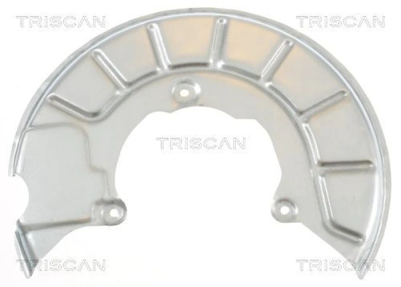 Image of TRISCAN Brake disc backing plate TRISCAN 8125 29102