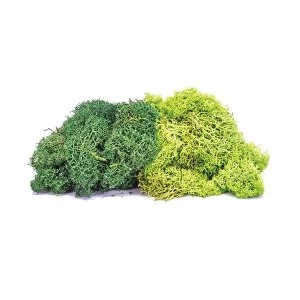 Image of Hornby R7195 Lichen - Large Green Mix