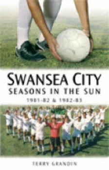 Image of Swansea City by Terry Grandin Book