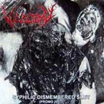 Image of Vulvectomy - Syphilic Dismembered Slut Vinyl